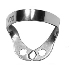Premolar Clamp