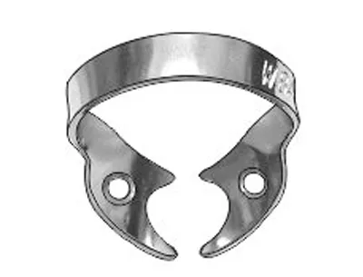 Molar Clamp